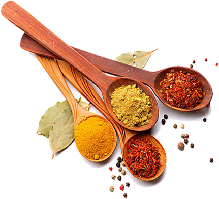 Jay Bhawani 100% Veg